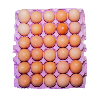 Plaquette d'œufs frais