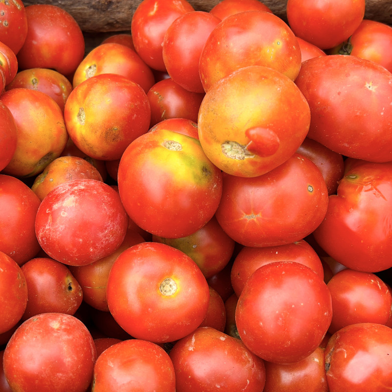 La Tomate, une formidable arme anti-cancer